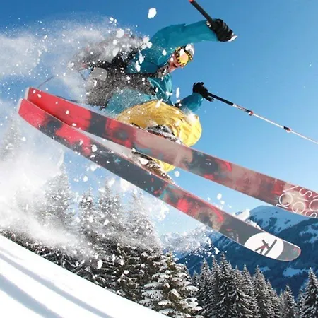 Panoramahotel Sonnhalde Hotel 3*