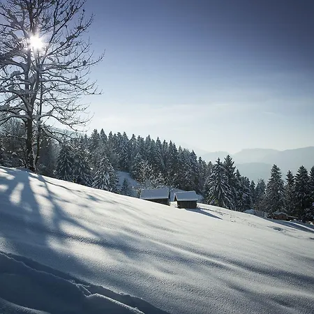 فندق Panoramahotel Sonnhalde 3*