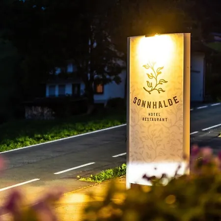 森纳尔德全景酒店 施瓦岑贝格