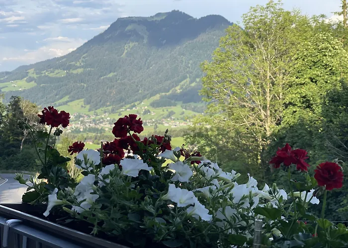 Ξενοδοχείο Panoramahotel Sonnhalde Schwarzenberg im Bregenzerwald