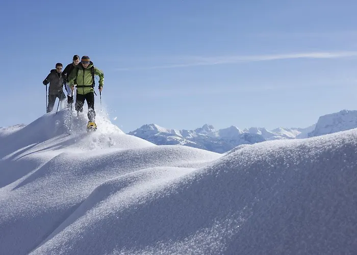 Panoramahotel Sonnhalde Ξενοδοχείο Schwarzenberg im Bregenzerwald