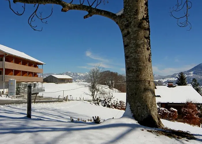 Hotel Panoramahotel Sonnhalde Schwarzenberg im Bregenzerwald